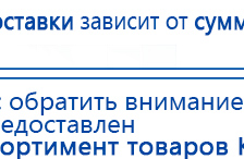 СКЭНАР-1-НТ (исполнение 01)  купить в Озерске, Аппараты Скэнар купить в Озерске, Скэнар официальный сайт - denasvertebra.ru