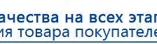 СКЭНАР-1-НТ (исполнение 02.1) Скэнар Про Плюс купить в Озерске, Аппараты Скэнар купить в Озерске, Скэнар официальный сайт - denasvertebra.ru