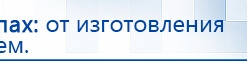 НейроДэнс ПКМ купить в Озерске, Аппараты Дэнас купить в Озерске, Скэнар официальный сайт - denasvertebra.ru