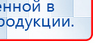 СКЭНАР-1-НТ (исполнение 01) артикул НТ1004 Скэнар Супер Про купить в Озерске, Аппараты Скэнар купить в Озерске, Скэнар официальный сайт - denasvertebra.ru